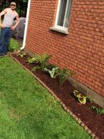 15th Avenue Close flower gardens